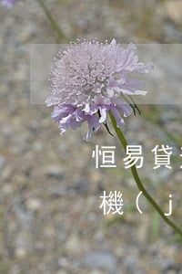 恒易貸逾期智能撥打告知什么意思-恒易貸機(jī)器人電話打了后就通過了嗎