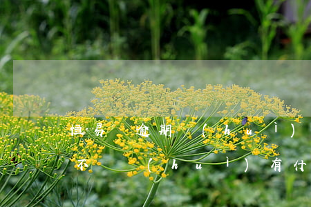 恒易貸逾期會(huì)影響貸款嗎(恒易貸不還會(huì)有什么后果)