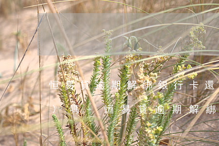 恒易貸逾期解綁銀行卡還有扣錢(qián)嗎-恒易貸逾期解綁銀行卡還有扣錢(qián)嗎安全嗎