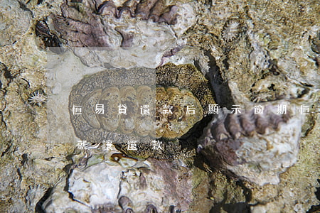 恒易貸還款后顯示逾期(恒易貸還沒到還款日就讓還款)