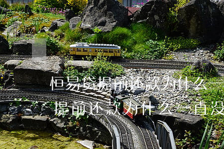 恒易贷提前还款为什么一直没显示-恒易贷提前还款为什么一直没显示还款