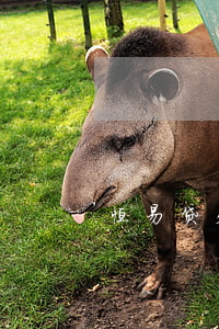 恒易贷欠了3万不还