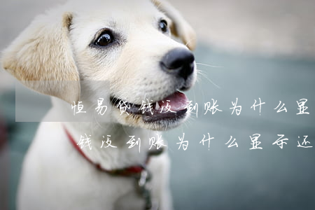 恒易贷钱没到账为什么显示还款中-恒易贷钱没到账为什么显示还款中了