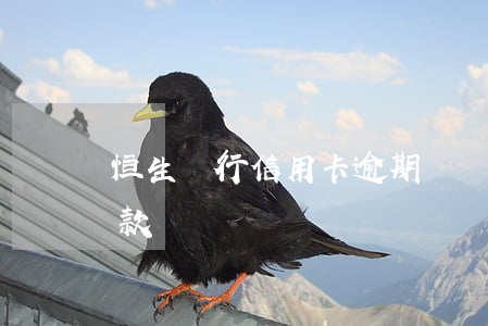 恒生銀行信用卡逾期記錄(恒生銀行信用卡還款)