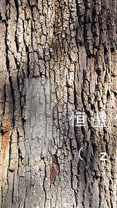 恒豐信用卡利息怎么算(恒豐銀行信用卡 最長(zhǎng)免息期)