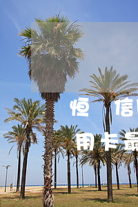 恒豐信用卡最低還款沒還完逾期了-恒豐信用卡最低還款沒還完逾期了怎么辦