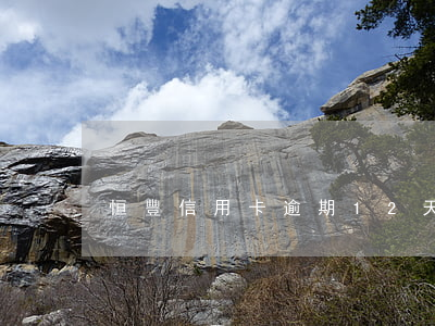 恒豐信用卡逾期12天(恒豐銀行逾期貸款)