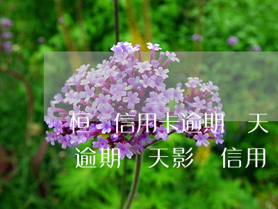 恒豐信用卡逾期兩天會影響征信嗎(銀行還款逾期兩天影響信用嗎)