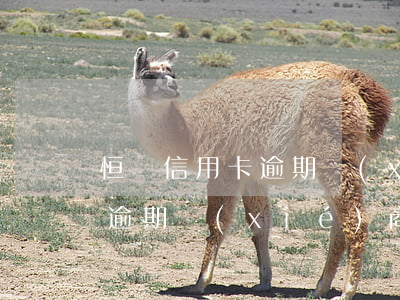 恒豐信用卡逾期協(xié)商(恒豐信用卡逾期協(xié)商電話)