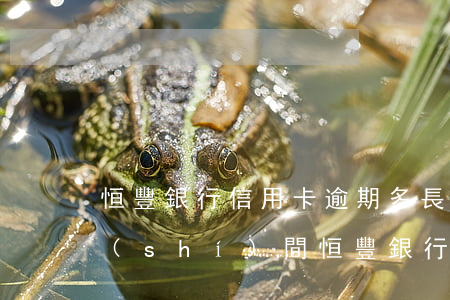 恒豐銀行信用卡逾期多長(zhǎng)時(shí)間 恒豐銀行凍結(jié)信用卡