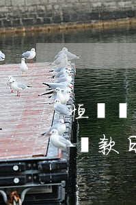 恒豐銀行還款日是幾號(hào)（恒豐銀行還款日）