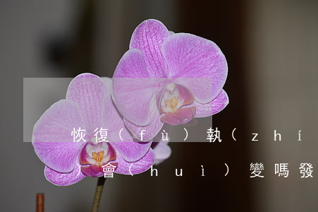 恢復(fù)執(zhí)行案號(hào)會(huì)變嗎(發(fā)回重審的案件案號(hào)變嗎)