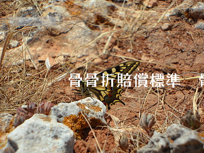 恥骨骨折賠償標準(恥骨骨折是輕傷嗎)