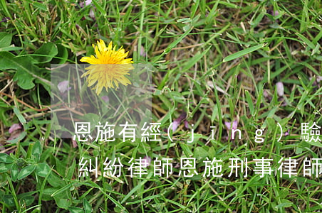 恩施有經(jīng)驗(yàn)的離婚糾紛律師(恩施刑事律師)