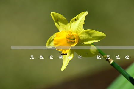恩施逾期如何還款（恩施逾期如何還款）