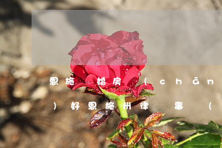 恩施離婚房產(chǎn)律師哪個(gè)好(恩施州律師事務(wù)所排行榜)