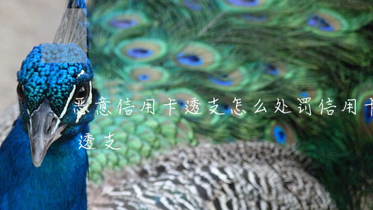 恶意信用卡透支怎么处罚(信用卡什么叫恶意透支?)