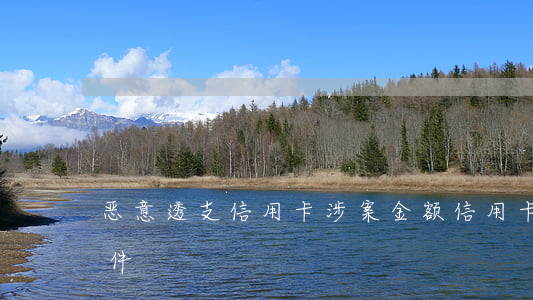恶意透支信用卡涉案金额(信用卡恶意透支案件)