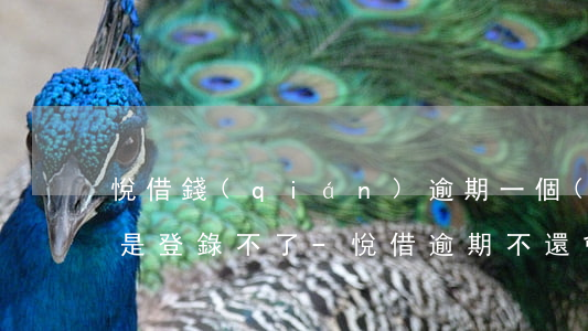 悅借錢(qián)逾期一個(gè)月還是登錄不了-悅借逾期不還會(huì)怎樣
