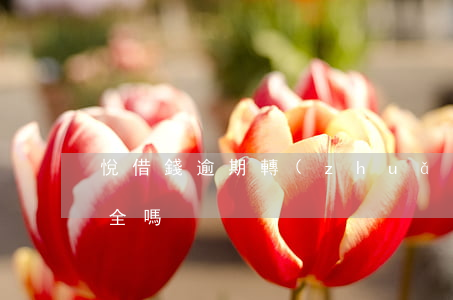 悅借錢逾期轉(zhuǎn)借(悅借借款安全嗎)