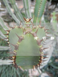 悅才分期逾期怎么做(悅才分期逾期怎么做)