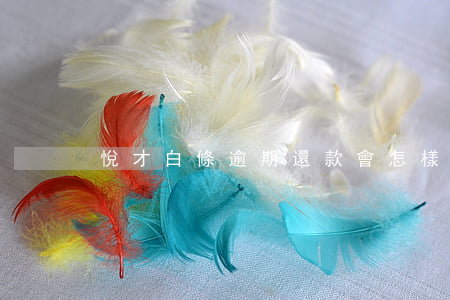 悅才白條逾期還款會怎樣