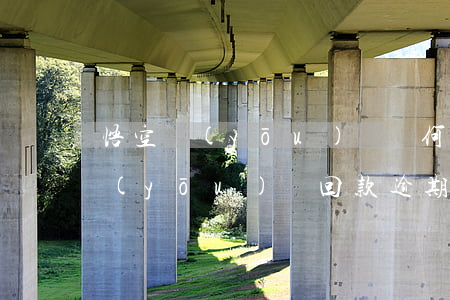 悟空優(yōu)選為何逾期不還款(悟空優(yōu)選回款逾期怎么辦)