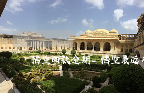 悟空回款逾期-悟空最近有回款吗