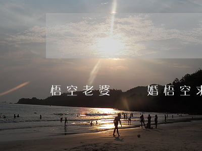 悟空老婆鬧離婚悟空求觀音怎么辦