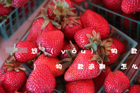 悠優(yōu)購物貸款逾期(悠優(yōu)購物貸款逾期會怎么樣)