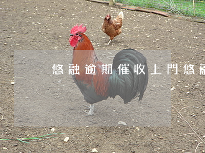 悠融逾期催收上門(悠融金融催收)