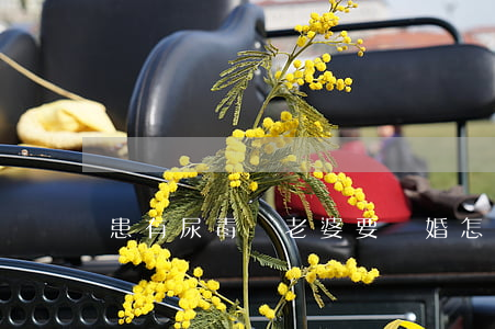 患有尿毒癥老婆要離婚怎么辦