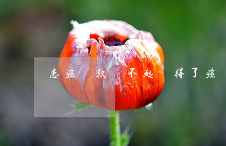 患癌貸款還不起-得了癌癥瘋狂貸款