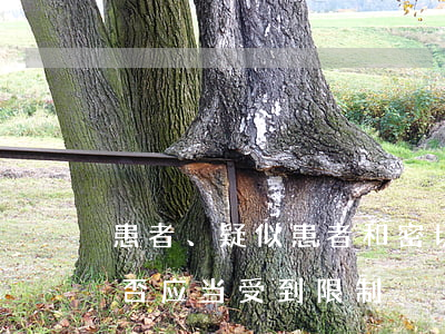 患者、疑似患者和密切接触者的工作范围是否应当受到限制