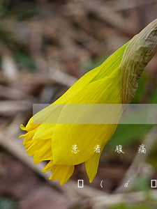 患者腹痛入院3天死亡醫(yī)院是否承擔(dān)賠償責(zé)任