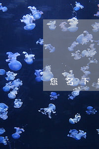 您名下的卡已逾期怎么辦（您名下的卡已逾期）