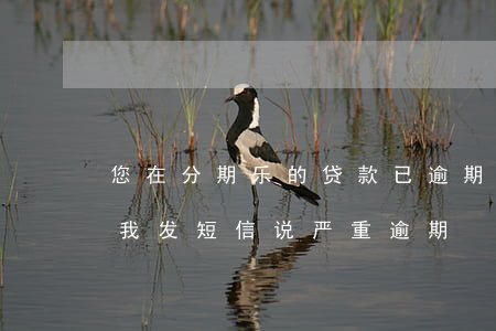 您在分期乐的贷款已逾期(分期乐逾期两天给我发短信说严重逾期)