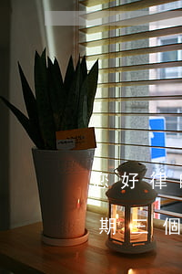 您好律師信用卡逾期3個月未還(欠信用卡逾期三個多月了還錢會有什么影響)