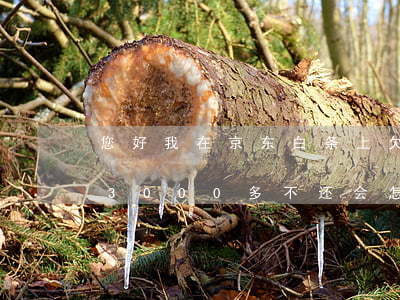 您好 我在京东白条上欠了八千(京东白条欠款3000多不还会怎样)