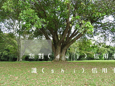 您對(duì)信用卡逾期的認(rèn)識(shí)(信用卡逾期情況)