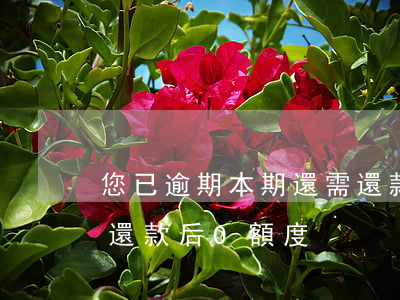 您已逾期,本期還需還款金額為0（信用卡逾期還款后0額度）