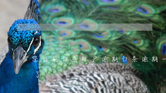 您当前白条账户逾期(白条逾期一次没有额度了)