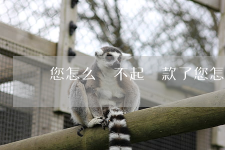 您怎么還不起貸款了(您怎么還不起貸款了)