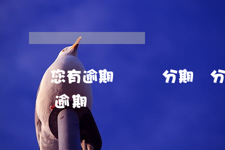 您有逾期記錄來分期 來分期為什么不能消除逾期記錄