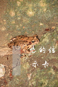 您的信用卡因還款逾期(信用卡逾期還款后顯示卡狀態(tài)異常)