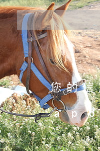 您的信用卡已出現(xiàn)逾期(信用卡app顯示已逾期)