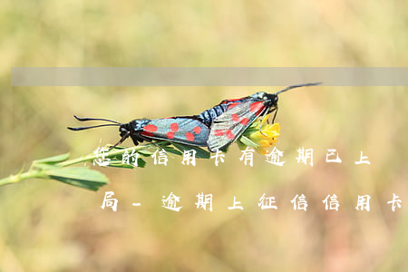 您的信用卡有逾期已上報(bào)征信總局-逾期上征信信用卡受影響