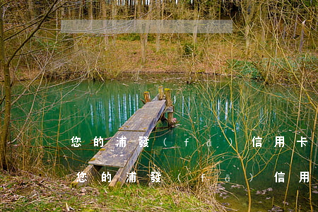 您的浦發(fā)信用卡賬戶已嚴重逾期-您的浦發(fā)信用卡賬戶已嚴重逾期怎么辦