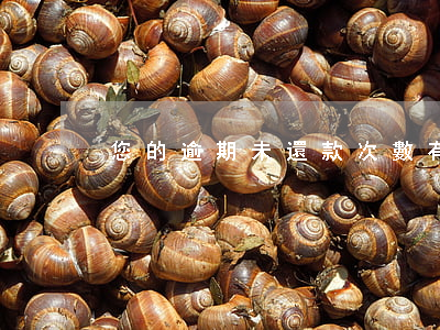 您的逾期未還款次數(有一次逾期未還怎么辦)