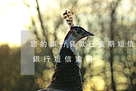 您的銀行貸款已逾期短信(沒有貸款但是收到銀行短信逾期)